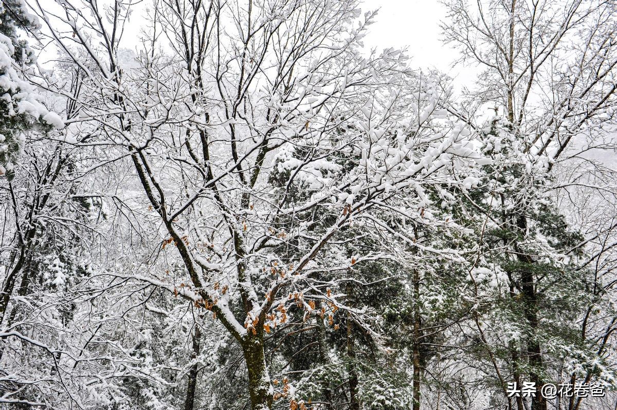 驾唐追逐2022年的第一场冬雪