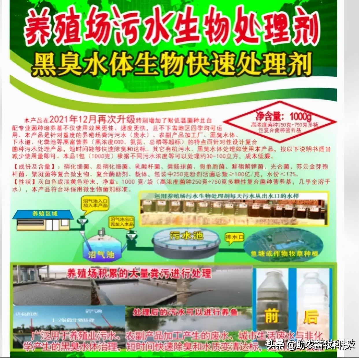 运用微生物（益生菌）除臭剂进行废水处理好处多