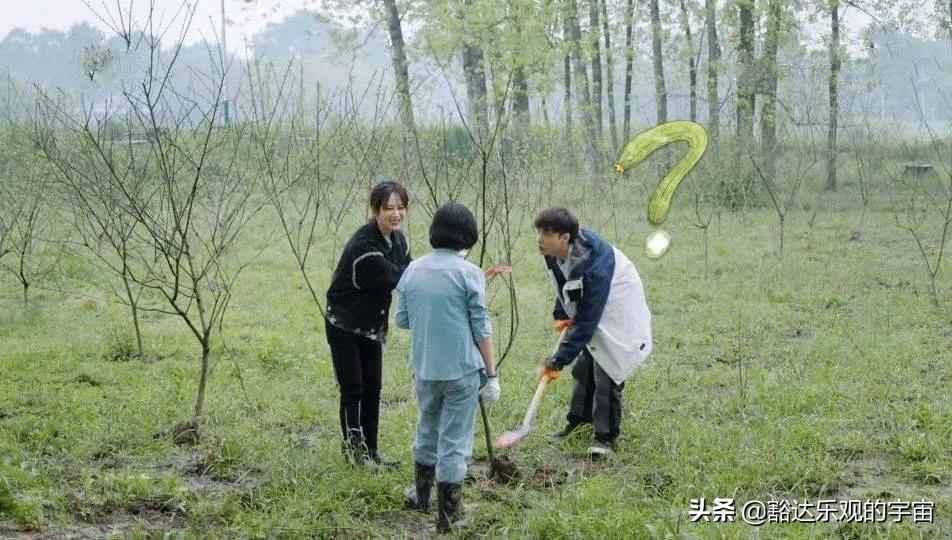 这是弄巧成拙？张艺兴、杨紫刚澄清绯闻，“羊紫CP”就杀进超话