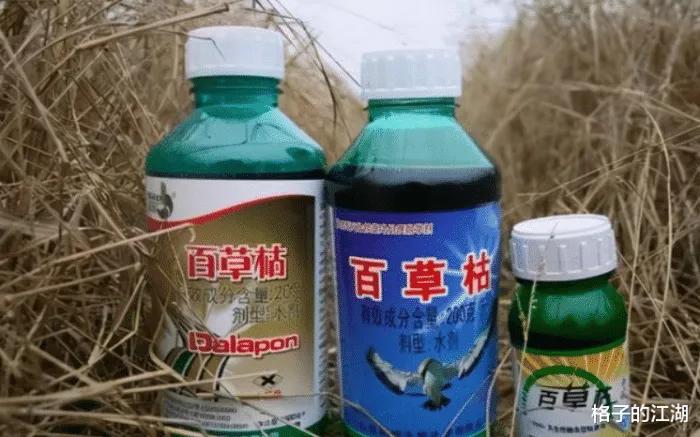 18岁女孩被姐夫投毒百草枯：真相公布，彻底暴露了人性的底线