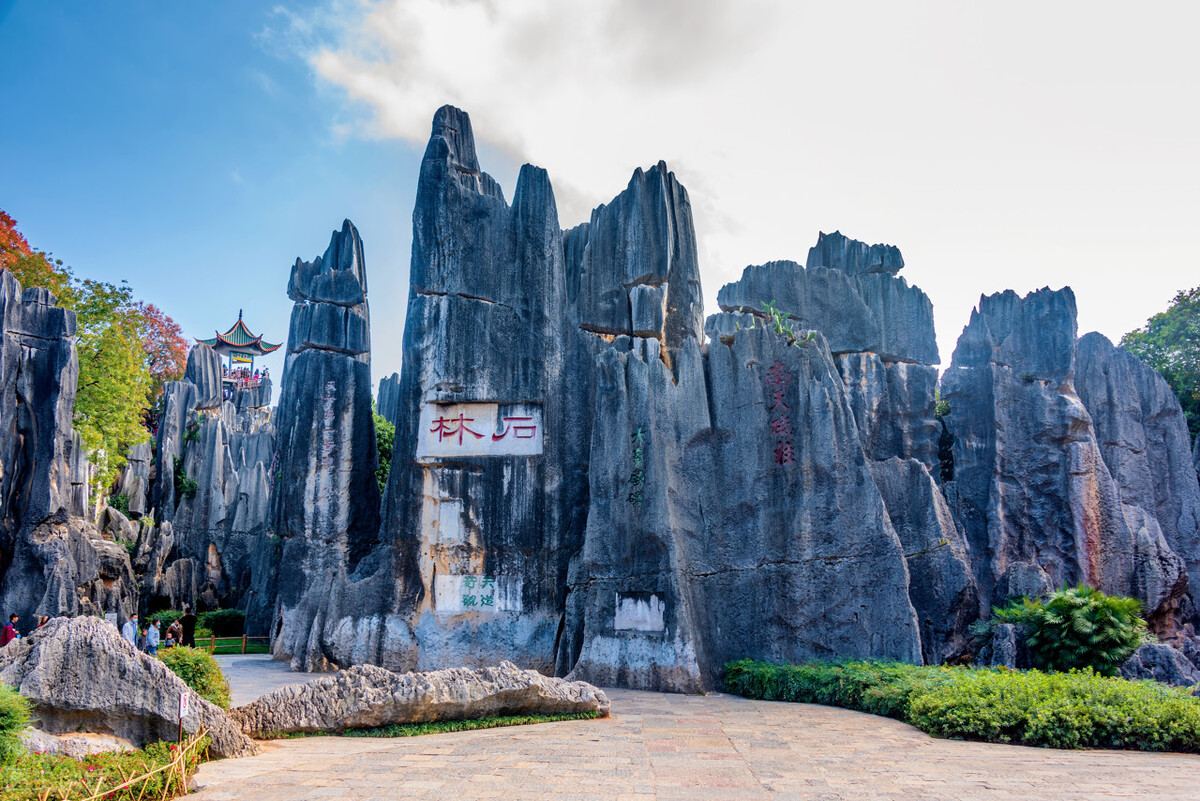 中年人最頂級的修行：讀書，運動，旅行