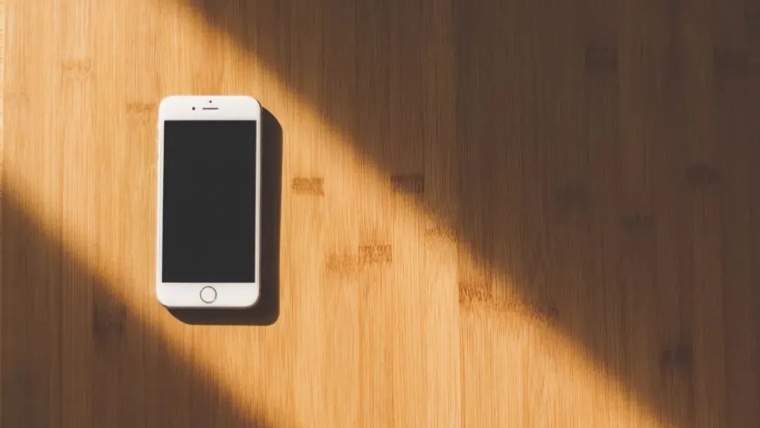 杨颖律师的3个相亲对象，她现场教学如何凭实力单身