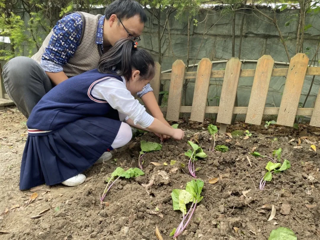 上好每一节劳动课——四川天府新区新兴小学开展劳动教育课程
