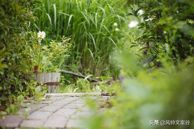 文案/阳光生活，享受美好