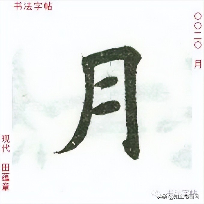 田蕴章书法作品欣赏-自题日展画集