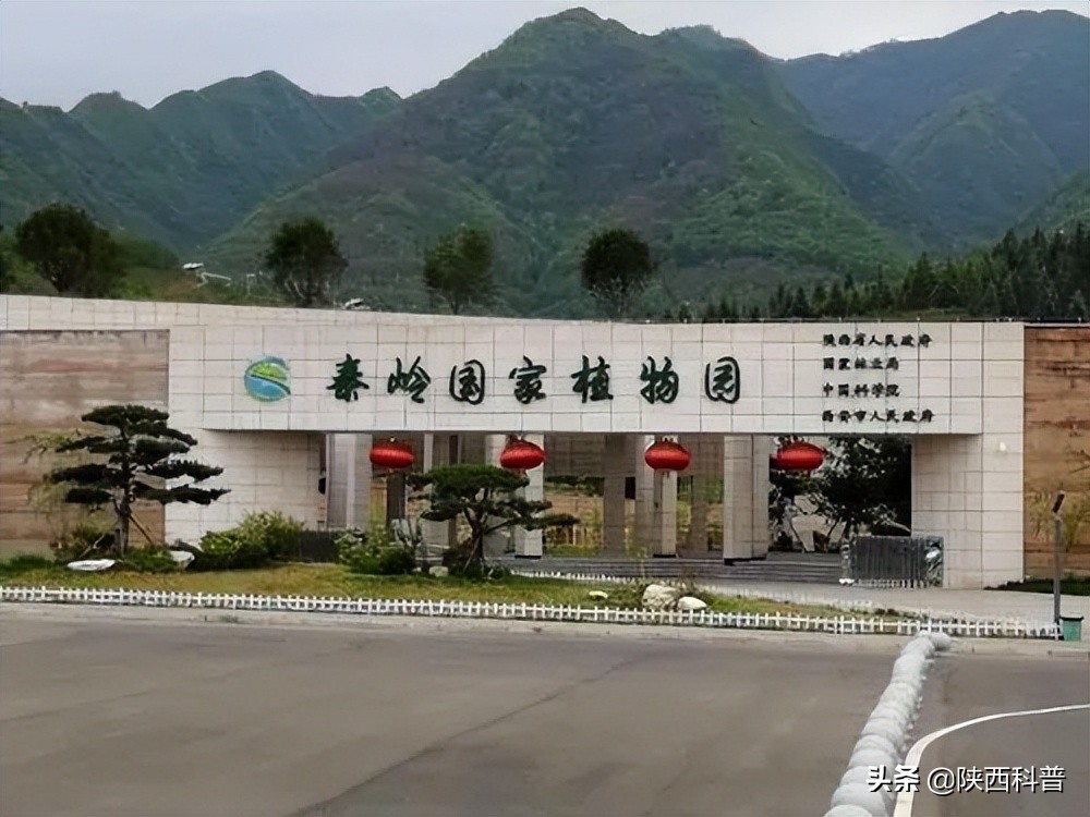 逛起来～陕西省科普场馆攻略来啦～西安篇（一）