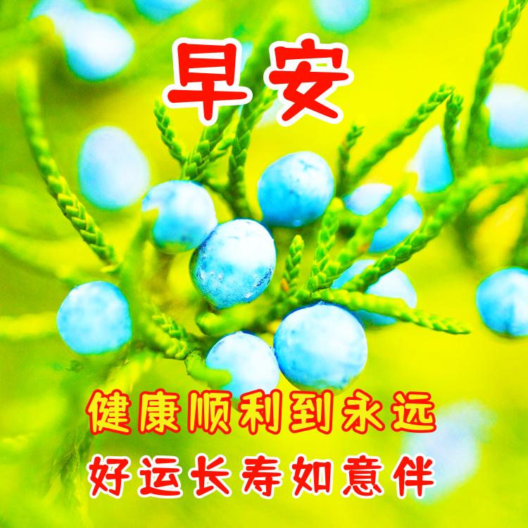 早上好问候祝福语，祝你健康吉祥，幸福长寿