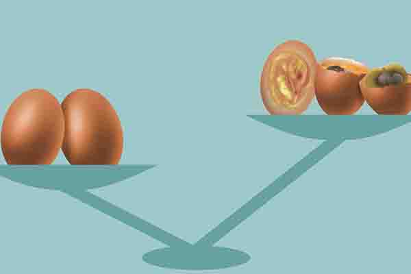 一个鸽子蛋顶几个鸡蛋（鸽子蛋与鸡蛋的功效和区别）