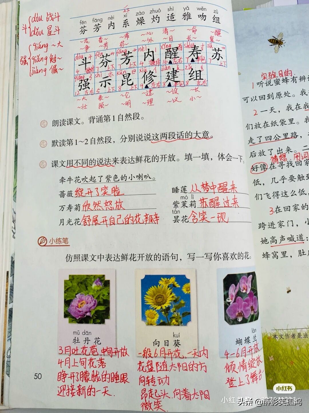 三年级语文下册第4单元课堂笔记，详细整理课文知识点