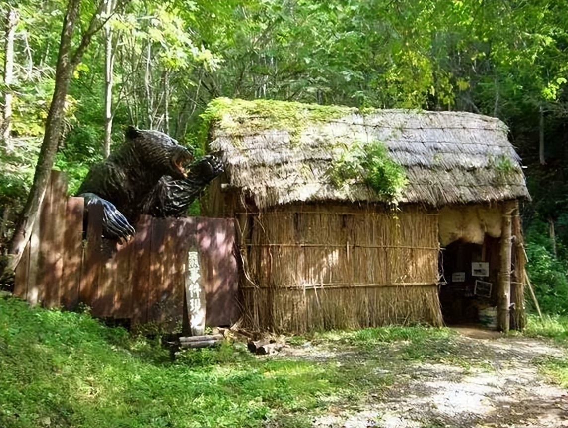 黑龙江男子挖野菜被熊攻击，遇熊时，快速离开还是“原地装死”？