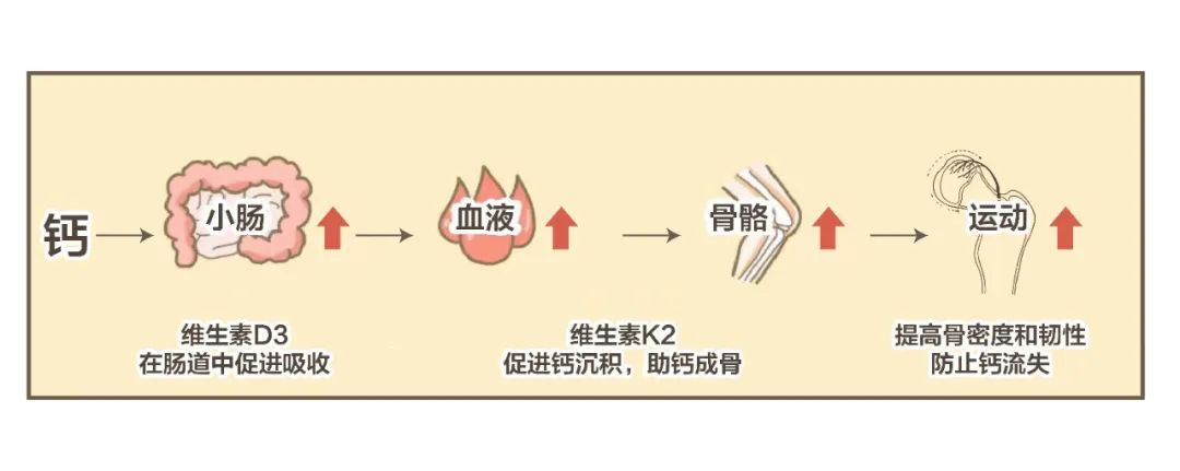 为什么天天打篮球还是长不高(萝卜长高运动｜天天补钙为什么还是缺钙？)