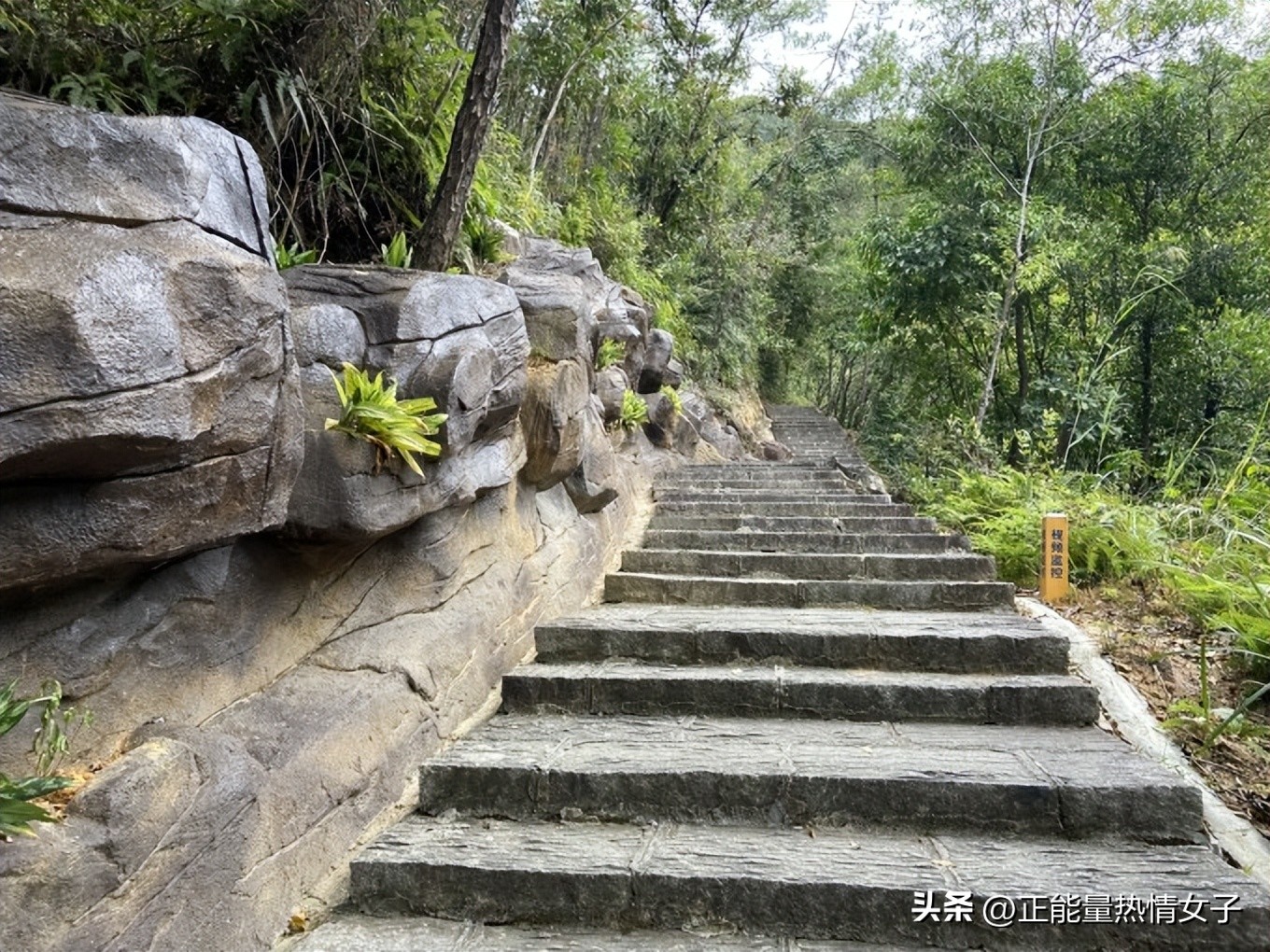 增城爬山哪里好玩(增城新仙境，溯溪登山观湖好去处，这里有小瑞士般的美)