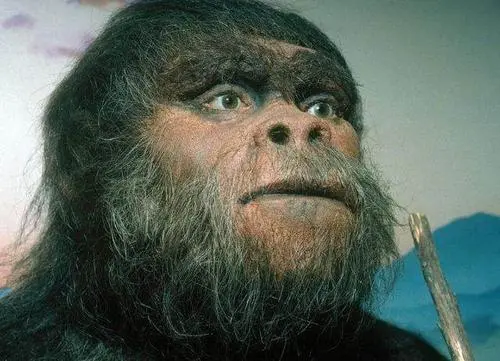 地球上本来没有人类,那么第一个人是怎么来的?可能来自太空吗?