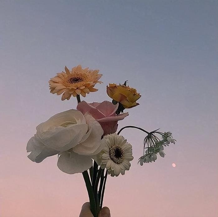 岁月静好的人生感悟说说，感悟人生的18条生活美句