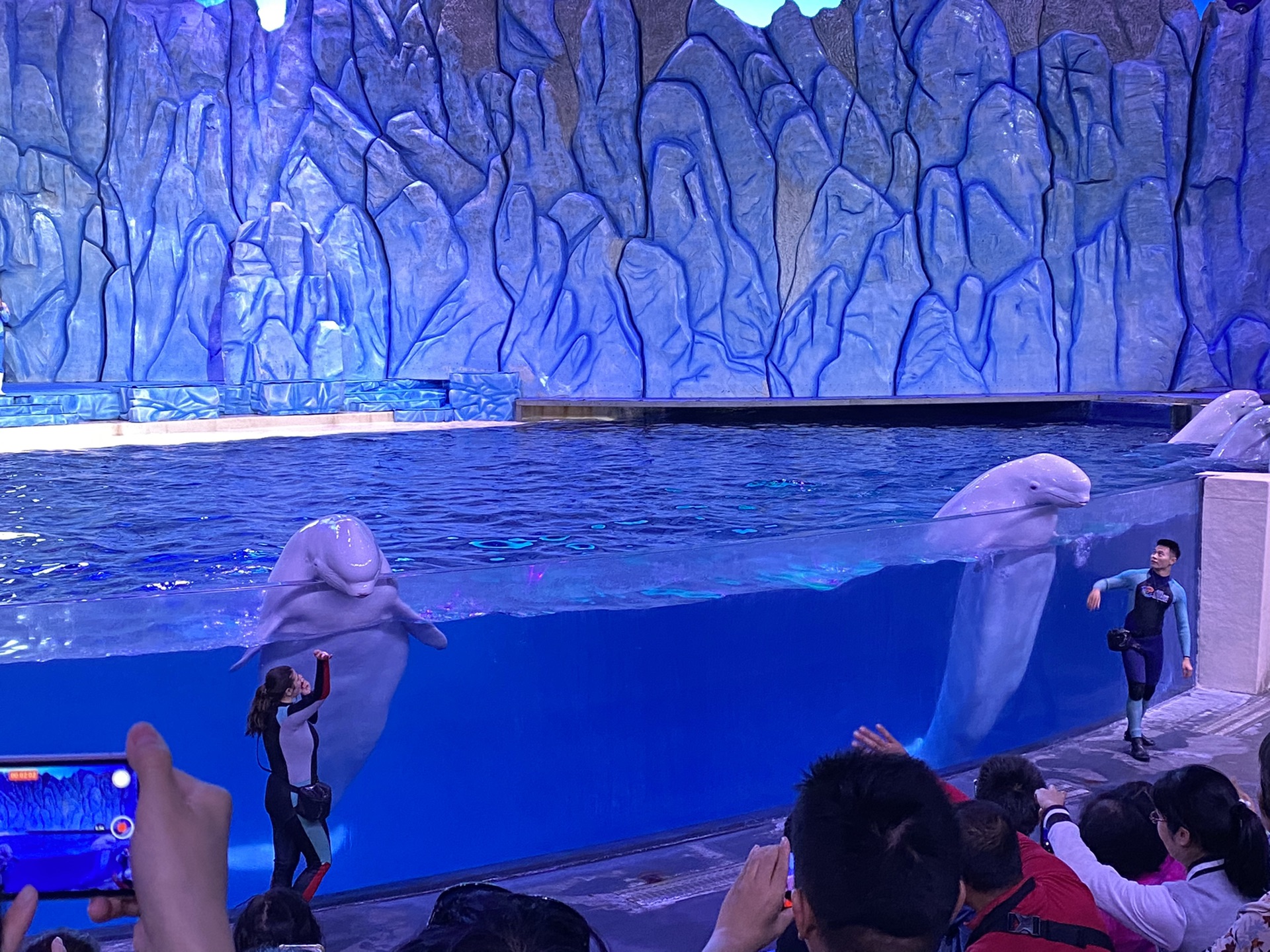 烧机油不大修，沉浸式慢游珠海，顺带修复烧机油
