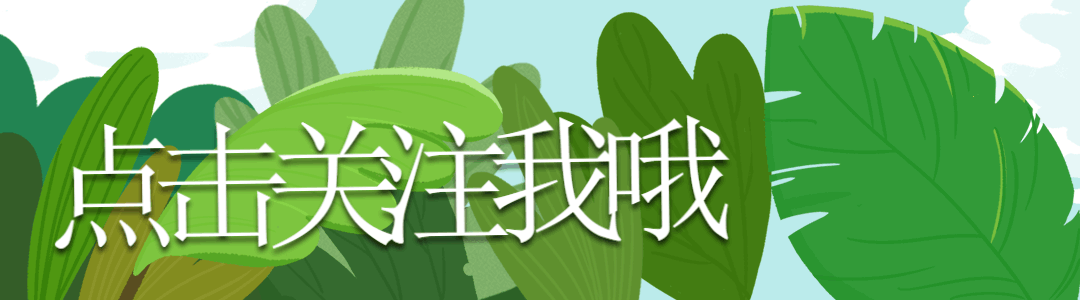 第33届台湾金曲奖名单出炉，崔健获最佳华语男歌手，蔡健雅成赢家