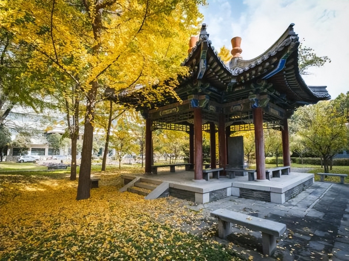 就业满意率、对口率