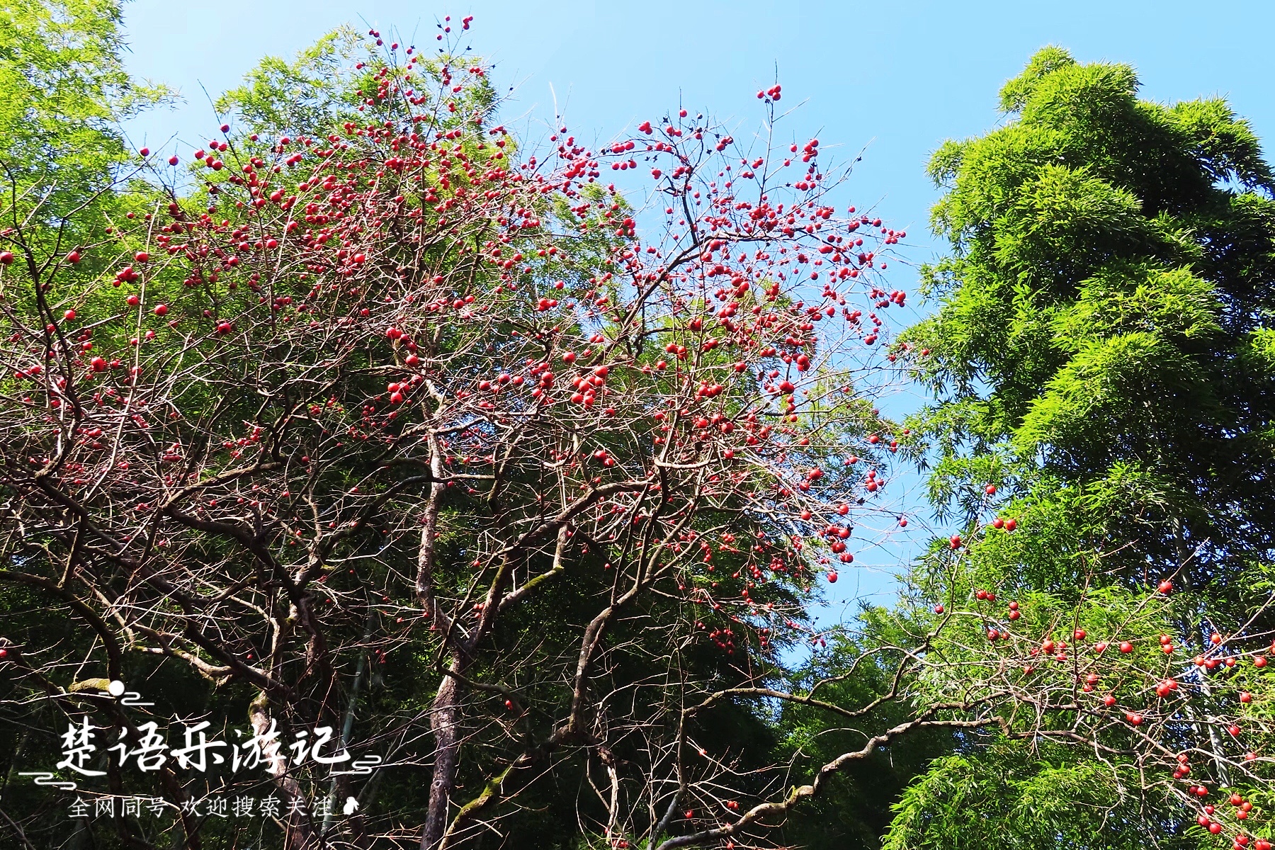 四明山哪个地方好玩（浙江四明山有一条奇美峡谷，藏在深山却游人众多，依然如世外桃源）