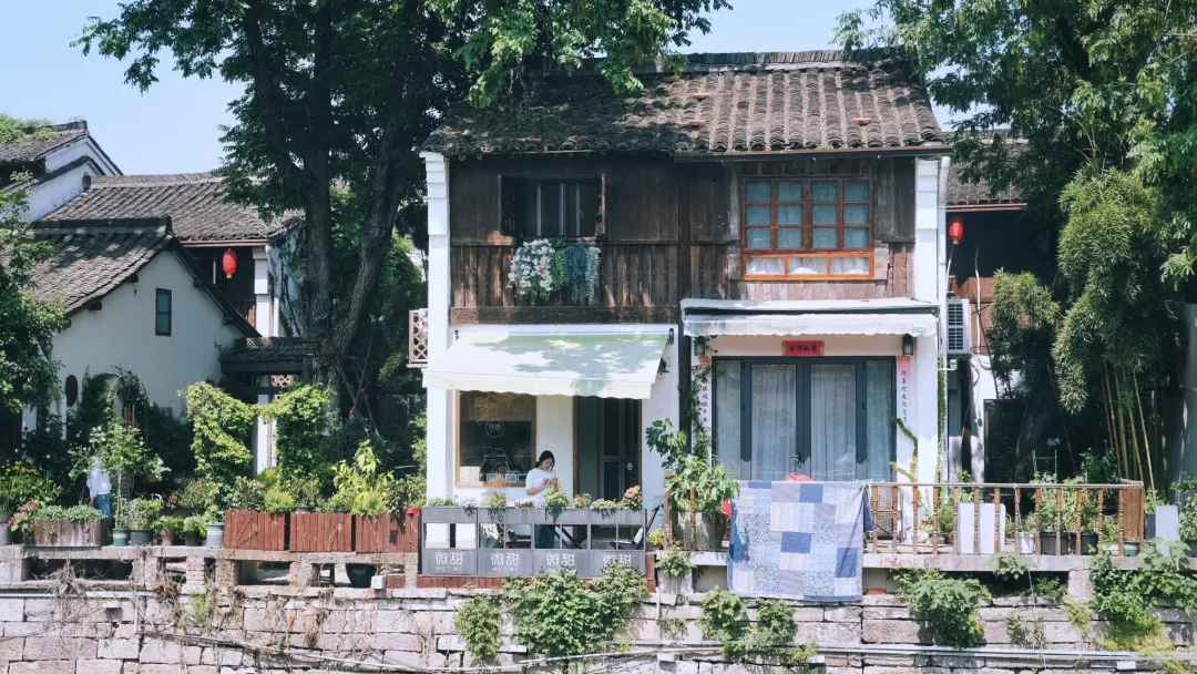 3块钱,带你坐船游遍杭州