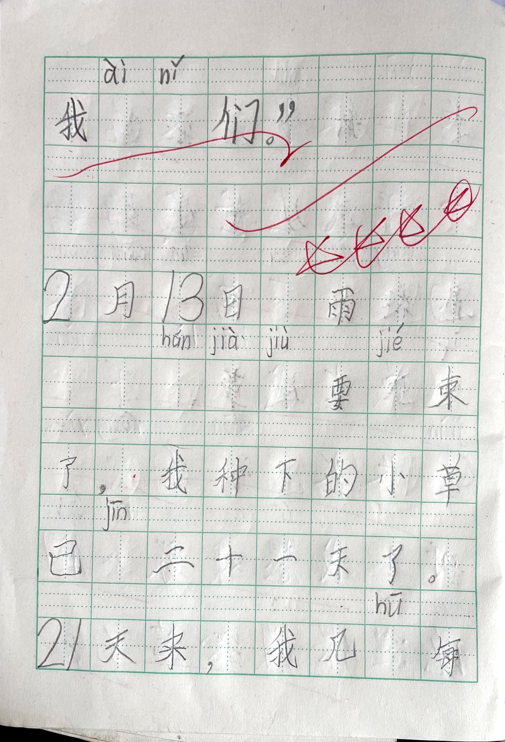 植物生长观察日记（2）