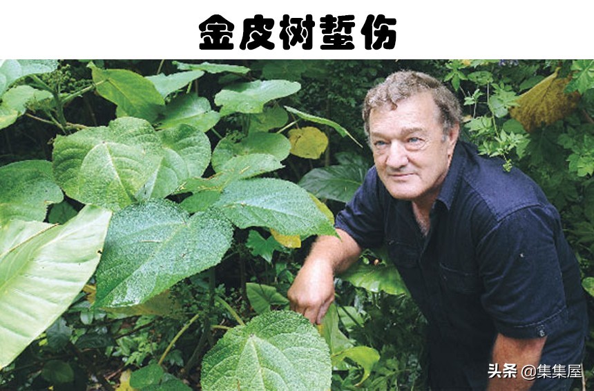眼睛受到灼伤有多痛？人类所能经历的5件最严重的痛苦