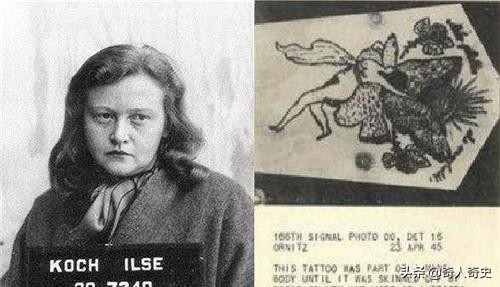 纳粹女魔伊思尔：她特殊的收藏癖好，让囚犯们害怕不已