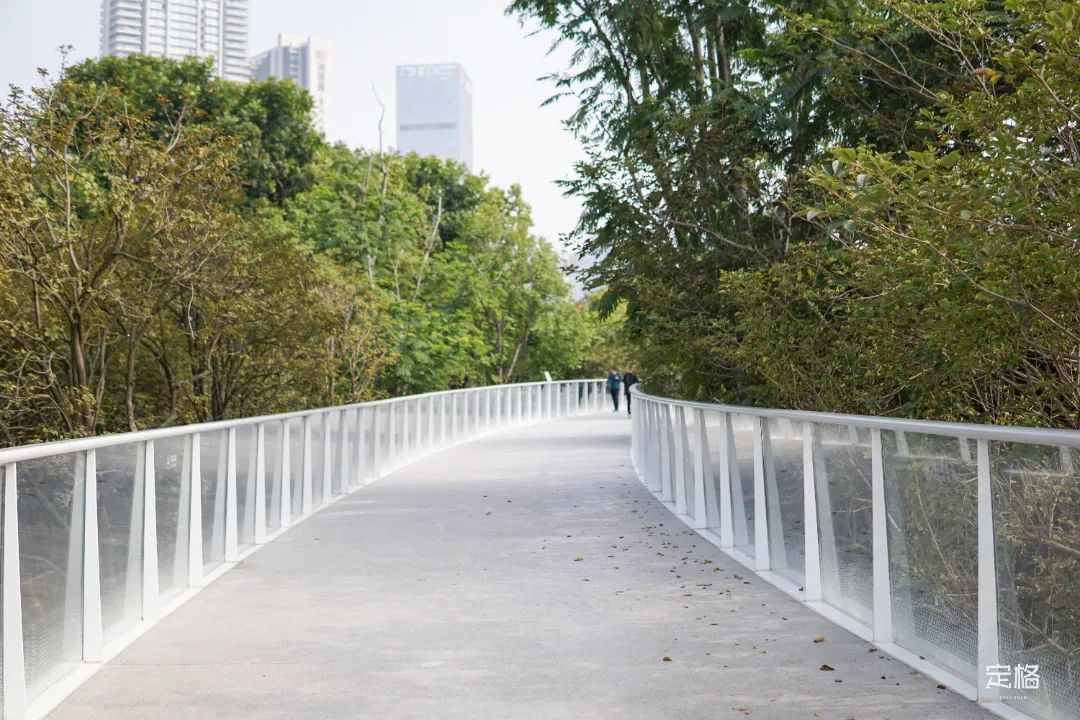 宝安体育场开放时间(一路向海！深圳「滨海廊桥」开了)