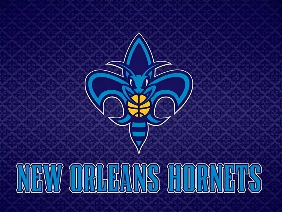 nba球队都有哪些改名（NBA球队中山猫、黄蜂、鹈鹕三个队之间的关系是怎么样的？）