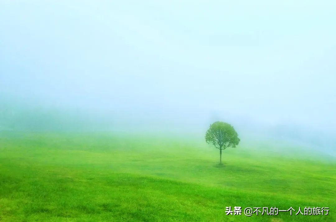 它是中国唯一凉都，空调都是摆设，超过30度有警报