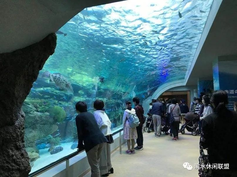我国海洋水族馆发展现状
