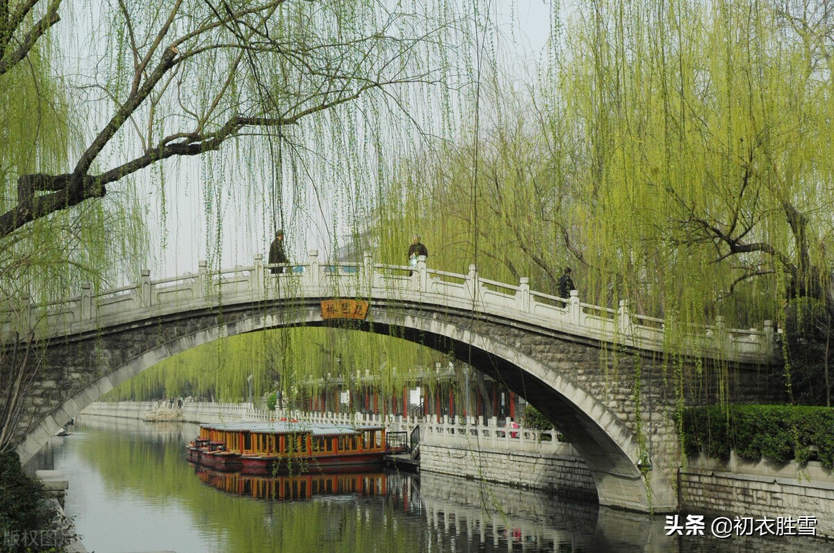 先唐杨柳古诗七首，同心且同折，溯源折杨柳送别的古俗