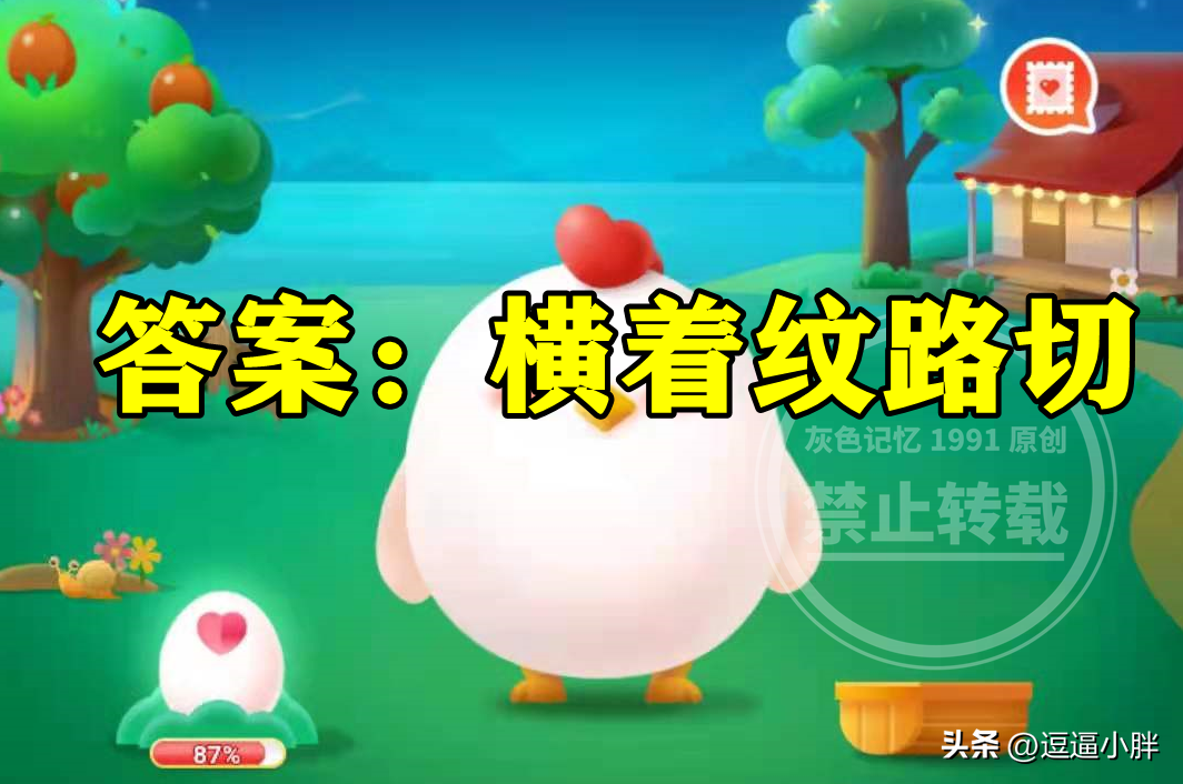 牛肉怎么切才是对的（牛肉应该如何切才好啊）-大连信息网