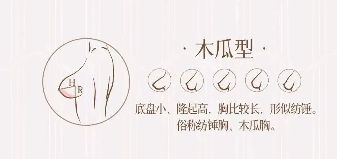 如果h>r,那么你是木瓜型,底盘小,胸比较长.