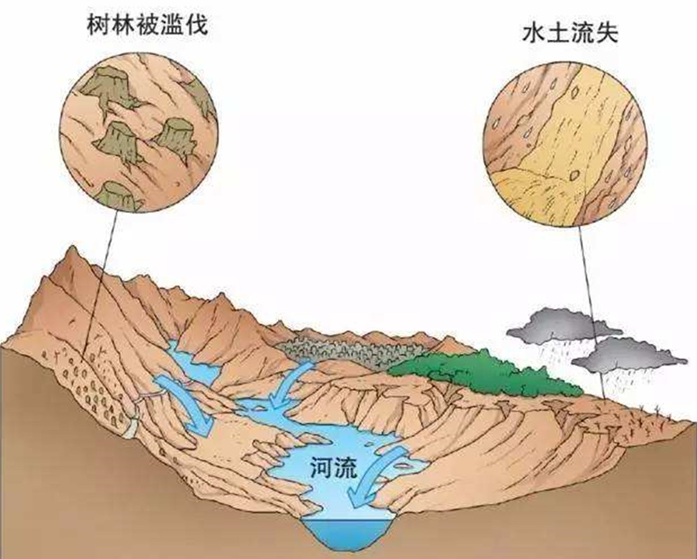 种植一次能够重复收割15年，亩产30吨，种巨菌草真的能赚钱吗？