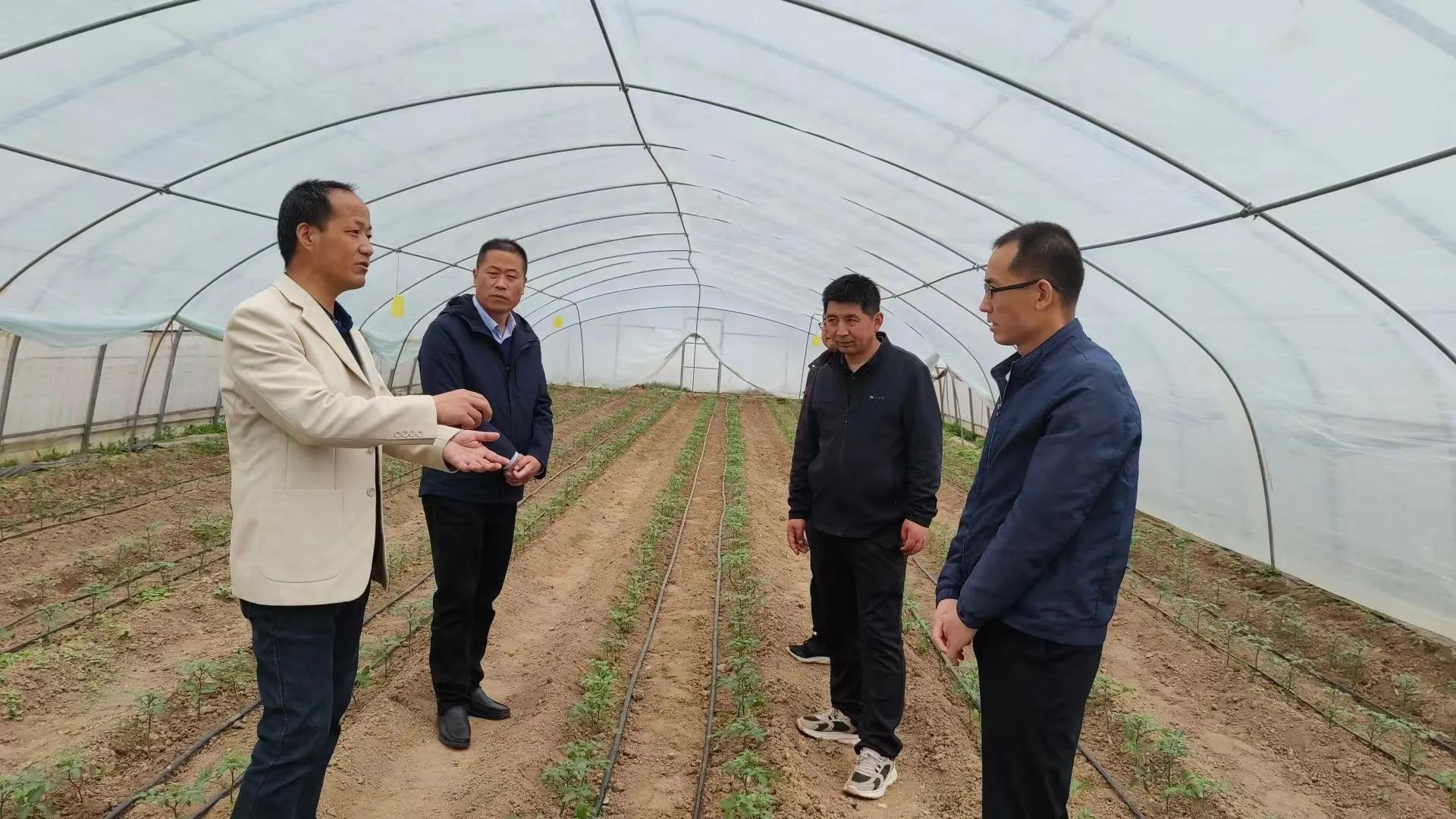 天水市區科協開展“科普之春”蔬菜種植技術培訓