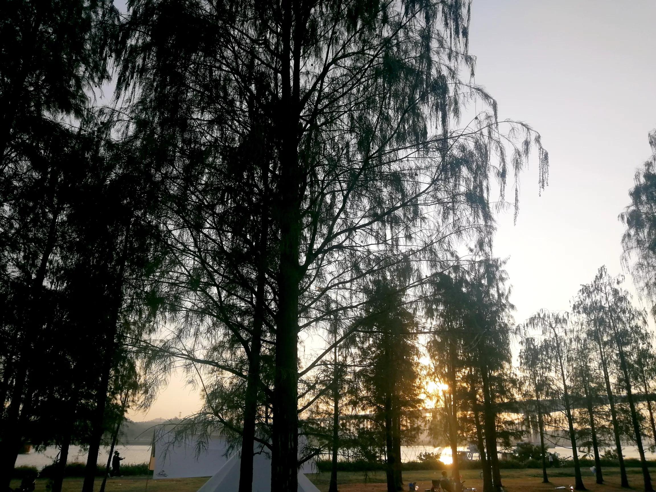 地铁4号线广州大学城一日游，带你体验不一样的大学城风景（A篇）