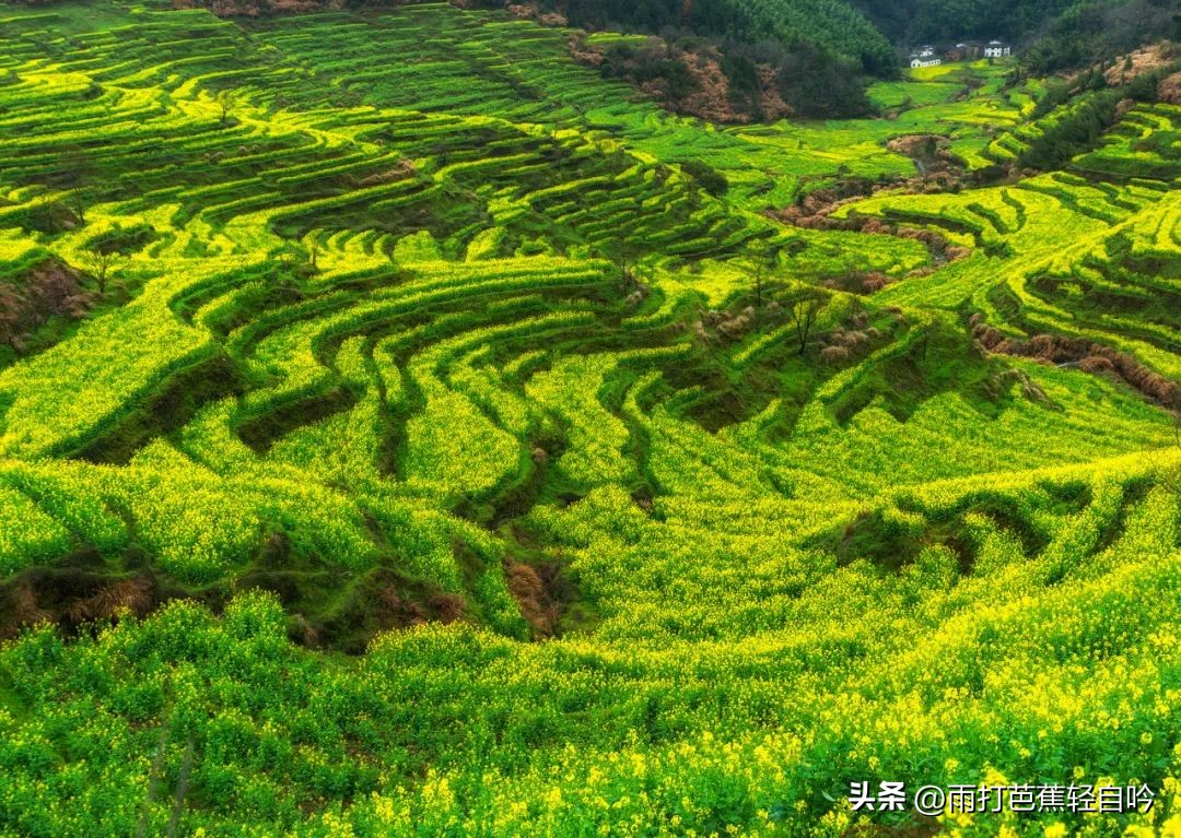 中国唯一被封禁1000年的地方，任何人都不能进入，美到窒息