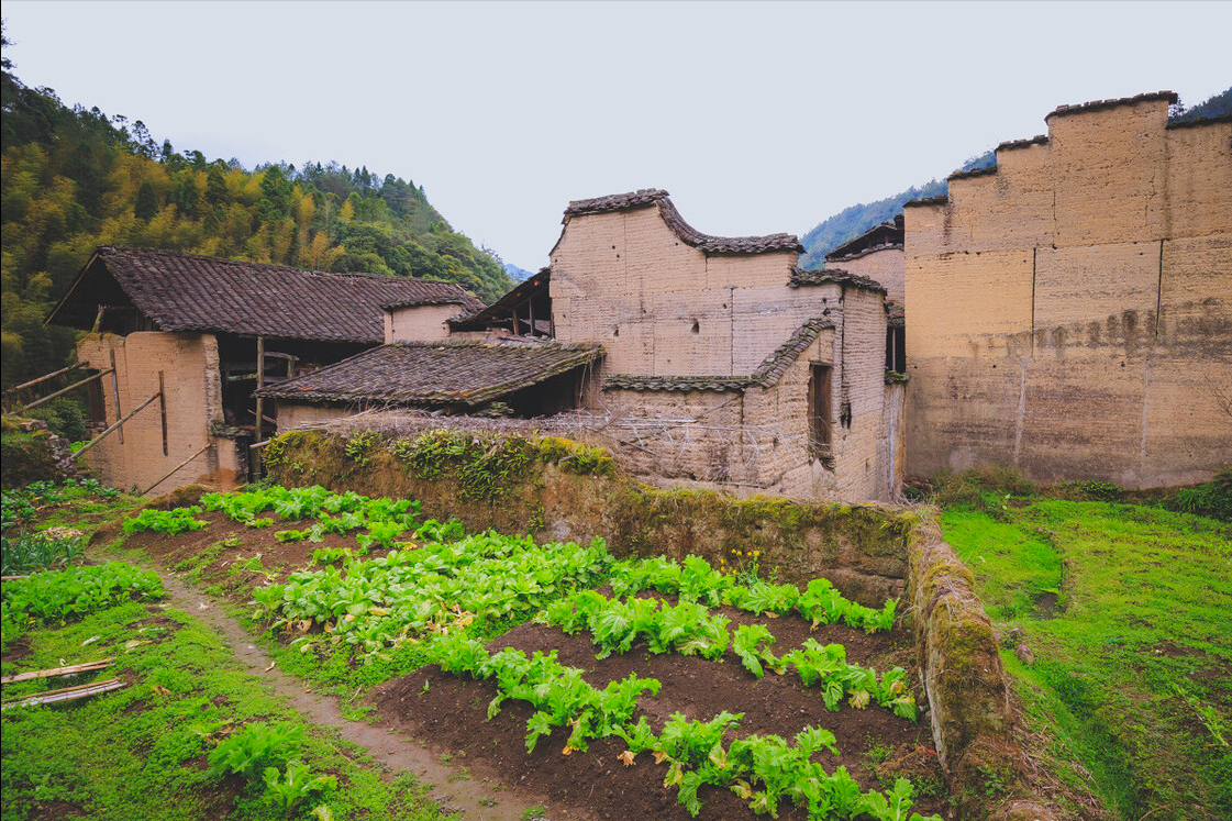 桂花蜜居无何图片