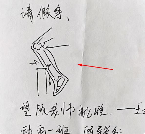 人类高质量请假走红，请假理由浪漫又唯美，大学老师直接给假