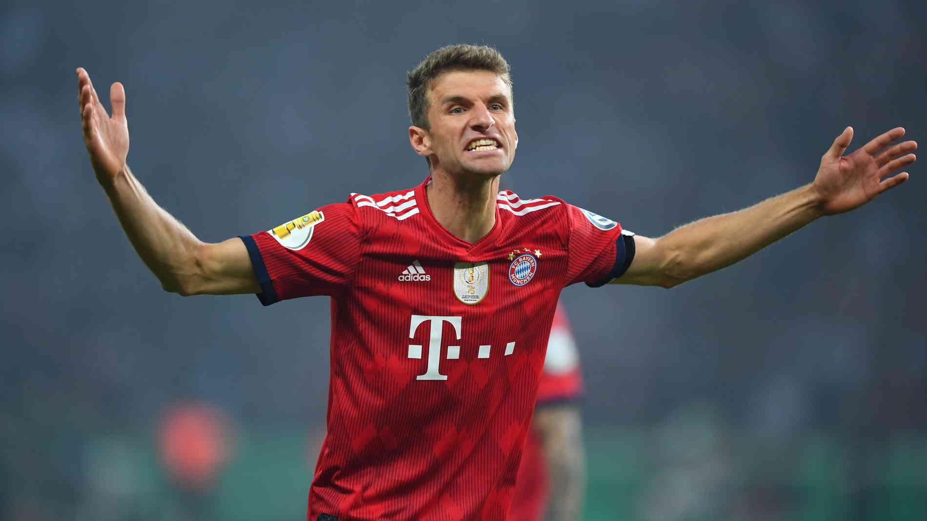 18赛季射手榜德甲（德甲往事-近5个赛季，德甲射手榜和助攻榜）