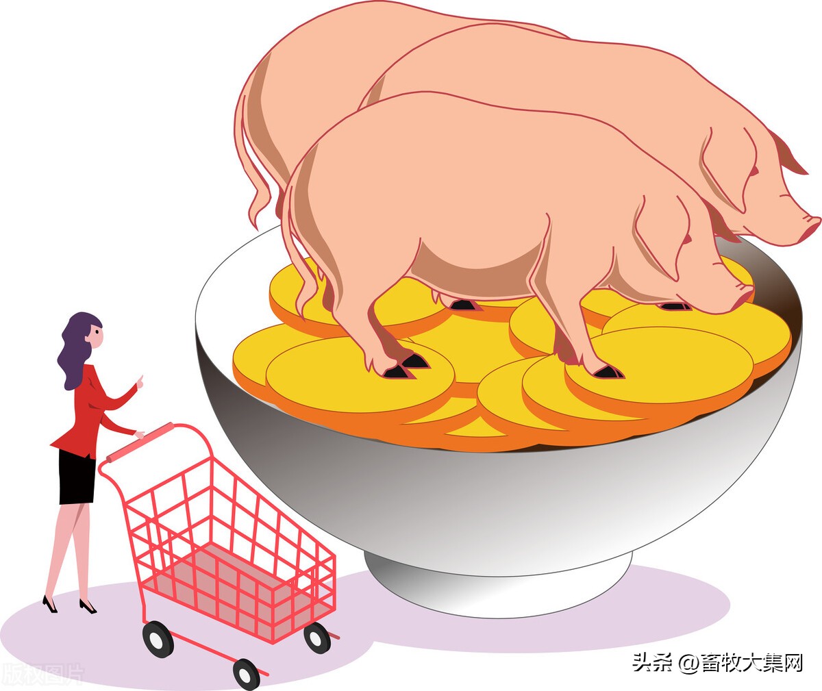 今日出栏猪价辽宁锦州，今日广东廉江出栏猪价