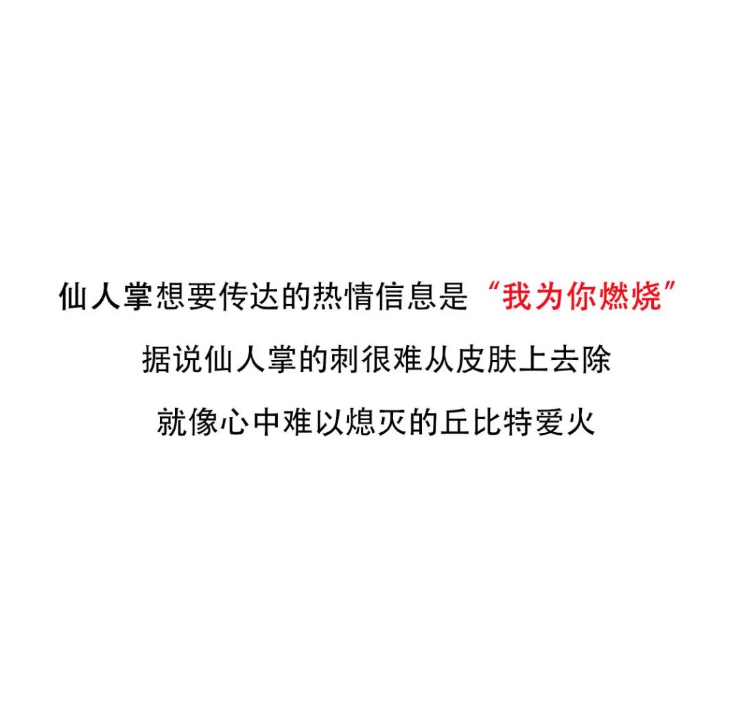 传情示爱最高端的“玩法”！这些珠宝花语你都Get了吗？