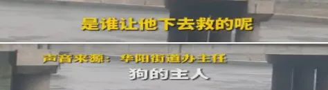 16岁男孩被误导下河救狗溺亡：狗一直都是狗，人有时候不是人