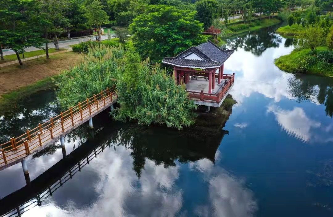 佛山哪里好玩景点推荐(今天才发现！原来佛山还有颜值那么高的公园，太美了)