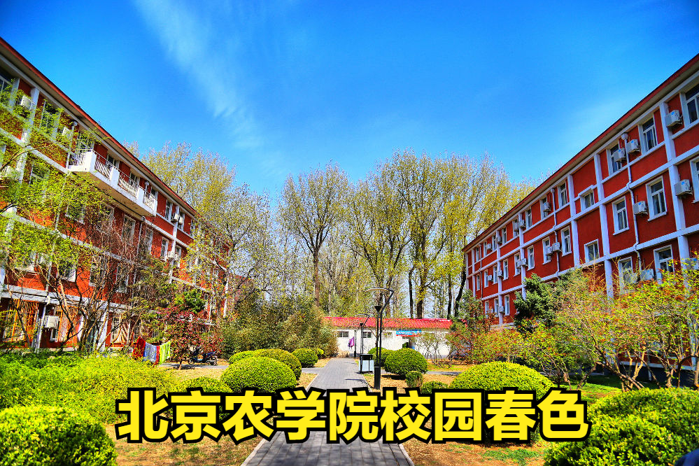 北京上海公办本科院校美术类最低录取线！上海商学院PK北京农学院