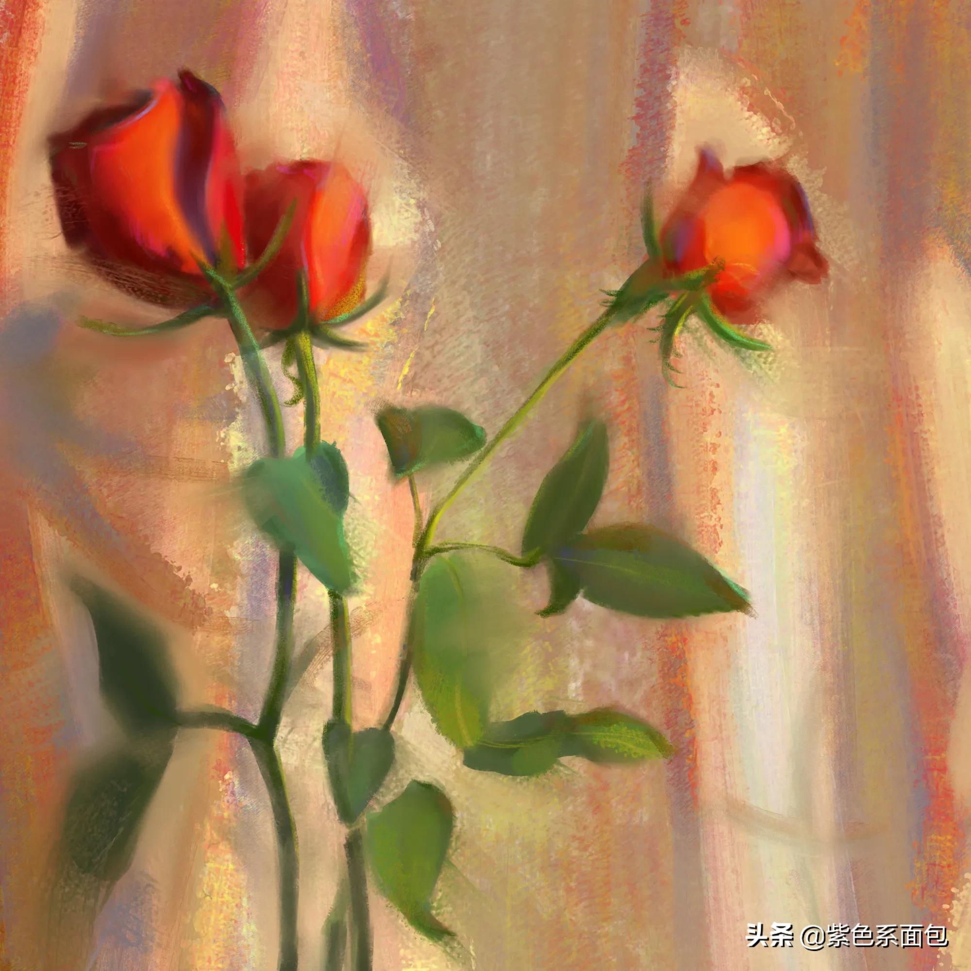 关于那些很拽的句子