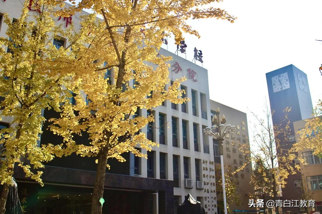 秋冬美图来袭① | 为你喜欢的校园美景投票吧