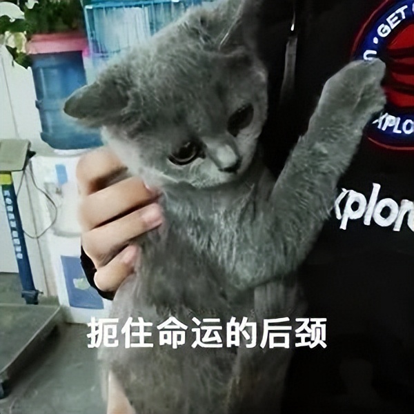 我出1万多、男友出16万给首付，购房合同写我名字，男友每月给我打钱还贷款，这房子属于谁？