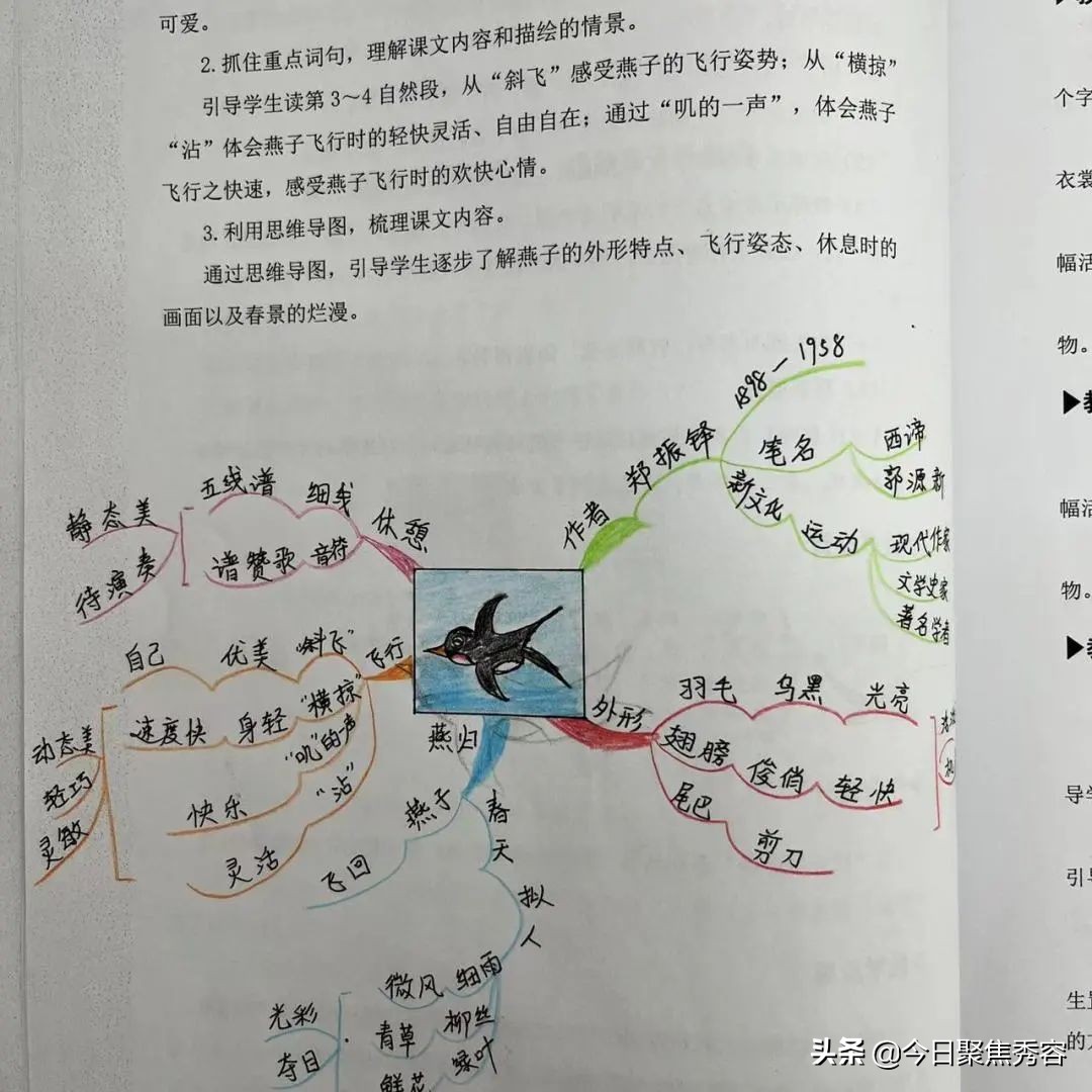 忻州市长征小学西校区开展教案作业活动(图12)