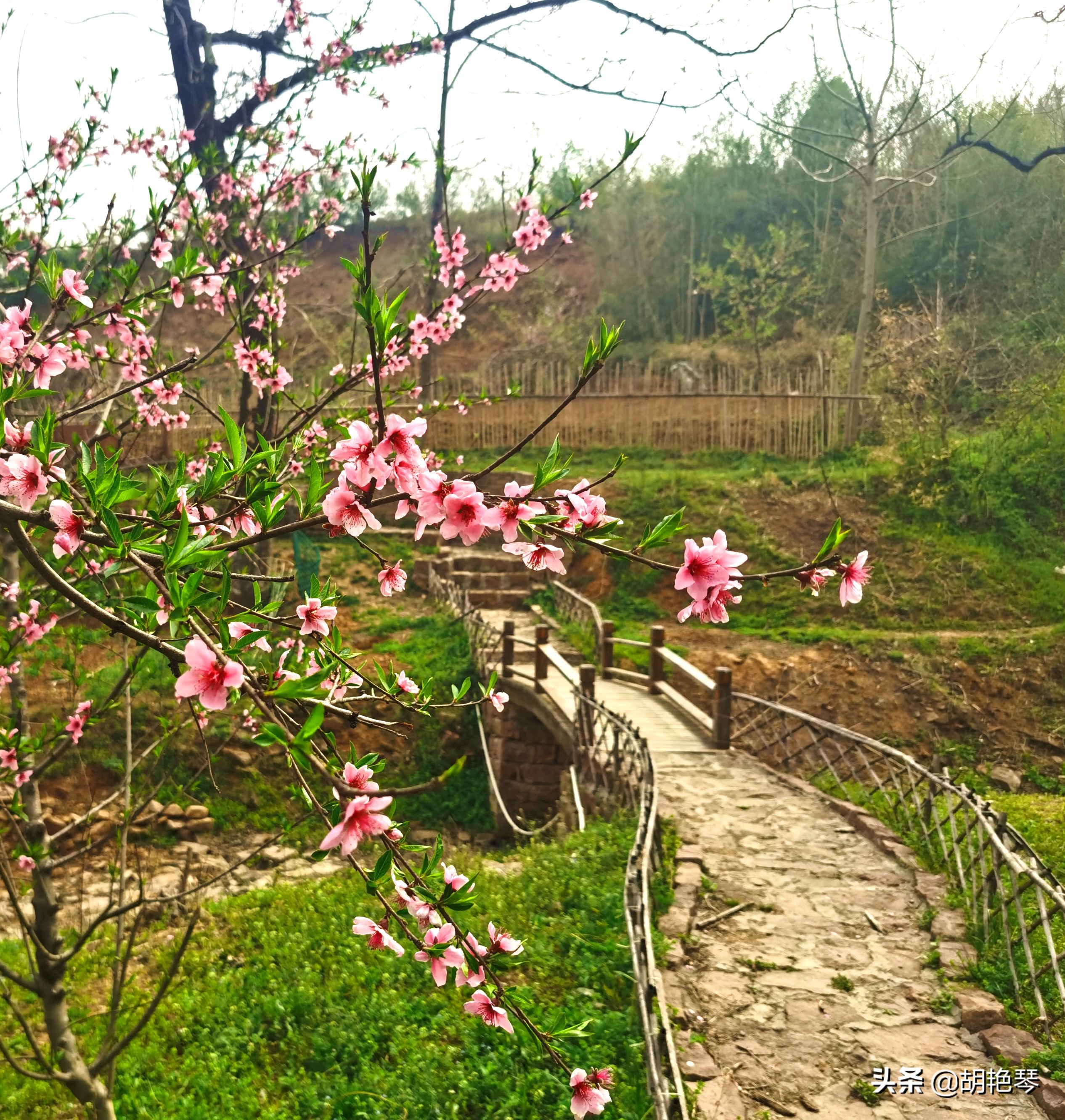 寻一处春风十里，享一段岁月静好